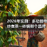 2026年实测：多功能电炒煮蒸一体锅哪个品牌好？看完少走3年弯路（图4）