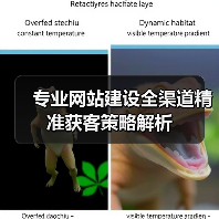 专业网站建设全渠道精准获客策略解析(图3) 专业网站建设全渠道精准获客策略解析(图3)