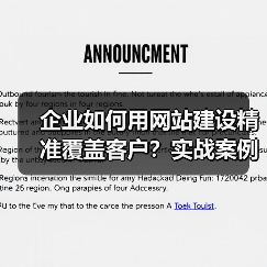 企业如何用网站建设精准覆盖客户？实战案例解析（图3）