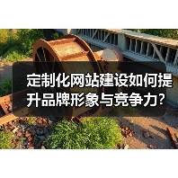 定制化网站建设如何提升品牌形象与竞争力?(图4) 定制化网站建设如何提升品牌形象与竞争力?(图4)