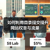 如何利用目录提交提升网站权重与流量（图3）