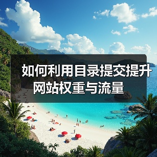 如何利用目录提交提升网站权重与流量（图4）