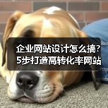 企业网站设计怎么搞?5步打造高转化率网站(图1) 企业网站设计怎么搞?5步打造高转化率网站(图1)