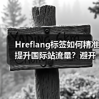 Hreflang标签如何精准提升国际站流量？避开这些误区