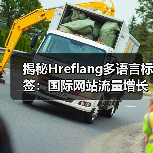 揭秘Hreflang多语言标签:国际网站流量增长的隐藏钥匙(图4) 揭秘Hreflang多语言标签:国际网站流量增长的隐藏钥匙(图4)