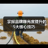 掌握品牌曝光度提升的5大核心技巧（图4）