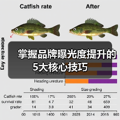 掌握品牌曝光度提升的5大核心技巧（图2）