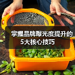 掌握品牌曝光度提升的5大核心技巧（图3）