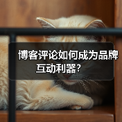 博客评论如何成为品牌互动利器?(图2) 博客评论如何成为品牌互动利器?(图2)