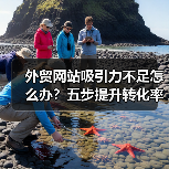 外贸网站吸引力不足怎么办?五步提升转化率方法分享(图1) 外贸网站吸引力不足怎么办?五步提升转化率方法分享(图1)