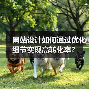 网站设计如何通过优化细节实现高转化率？