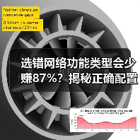 选错网络功能类型会少赚87%？揭秘正确配置技巧