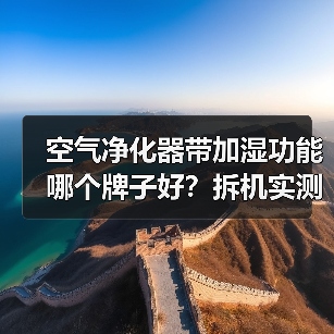空气净化器带加湿功能哪个牌子好？拆机实测揭秘假加湿陷阱（图3）