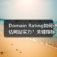 Domain Rating如何评估网站实力?关键指标深度解析(图4) Domain Rating如何评估网站实力?关键指标深度解析(图4)