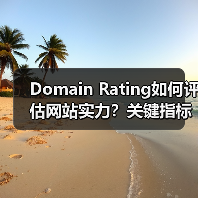 Domain Rating如何评估网站实力?关键指标深度解析(图3) Domain Rating如何评估网站实力?关键指标深度解析(图3)