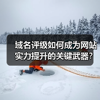 域名评级如何成为网站实力提升的关键武器？（图4）