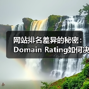 网站排名差异的秘密:Domain Rating如何决定核心竞争力?(图2) 网站排名差异的秘密:Domain Rating如何决定核心竞争力?(图2)