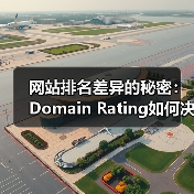 网站排名差异的秘密:Domain Rating如何决定核心竞争力?(图3) 网站排名差异的秘密:Domain Rating如何决定核心竞争力?(图3)