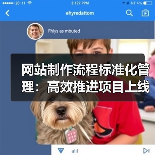 网站制作流程标准化管理：高效推进项目上线的关键策略（图2）