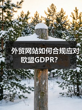 外贸网站如何合规应对欧盟GDPR?(图2) 外贸网站如何合规应对欧盟GDPR?(图2)