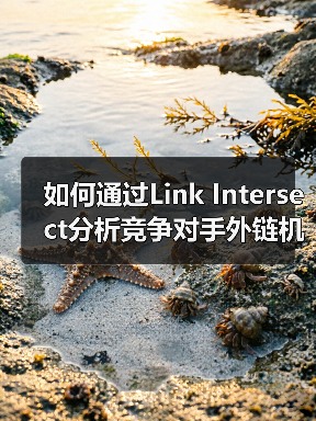 如何通过Link Intersect分析竞争对手外链机会?(图2) 如何通过Link Intersect分析竞争对手外链机会?(图2)
