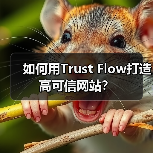 如何用Trust Flow打造高可信网站?(图2) 如何用Trust Flow打造高可信网站?(图2)