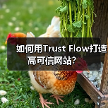 如何用Trust Flow打造高可信网站?(图1) 如何用Trust Flow打造高可信网站?(图1)