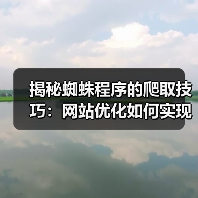揭秘蜘蛛程序的爬取技巧:网站优化如何实现流量爆发?(图4) 揭秘蜘蛛程序的爬取技巧:网站优化如何实现流量爆发?(图4)
