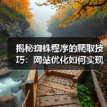 揭秘蜘蛛程序的爬取技巧:网站优化如何实现流量爆发?(图3) 揭秘蜘蛛程序的爬取技巧:网站优化如何实现流量爆发?(图3)
