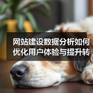 网站建设数据分析如何优化用户体验与提升转化率?(图3) 网站建设数据分析如何优化用户体验与提升转化率?(图3)