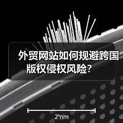 外贸网站如何规避跨国版权侵权风险?(图3) 外贸网站如何规避跨国版权侵权风险?(图3)