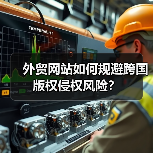 外贸网站如何规避跨国版权侵权风险?(图2) 外贸网站如何规避跨国版权侵权风险?(图2)