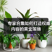 专家合集如何打造权威内容的黄金策略（图4）