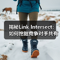 揭秘Link Intersect：如何挖掘竞争对手共有外链的SEO突破点（图2）