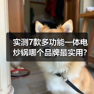 实测7款多功能一体电炒锅哪个品牌最实用?2026年避坑指南(图2) 实测7款多功能一体电炒锅哪个品牌最实用?2026年避坑指南(图2)