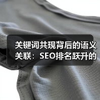 关键词共现背后的语义关联:SEO排名跃升的关键策略?(图4) 关键词共现背后的语义关联:SEO排名跃升的关键策略?(图4)
