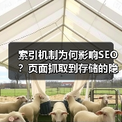 索引机制为何影响SEO?页面抓取到存储的隐藏规则(图2) 索引机制为何影响SEO?页面抓取到存储的隐藏规则(图2)