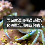 网站建设如何通过数字化转型实现商业价值?(图3) 网站建设如何通过数字化转型实现商业价值?(图3)