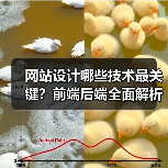 网站设计哪些技术最关键?前端后端全面解析(图2) 网站设计哪些技术最关键?前端后端全面解析(图2)