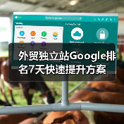 外贸独立站Google排名7天快速提升方案(图3) 外贸独立站Google排名7天快速提升方案(图3)