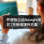 外贸独立站Google排名7天快速提升方案(图2) 外贸独立站Google排名7天快速提升方案(图2)