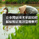 企业网站技术革新如何解锁智能高效管理新可能?(图3) 企业网站技术革新如何解锁智能高效管理新可能?(图3)
