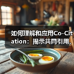 如何理解和应用Co-Citation：揭示共同引用、同时提及的深层关系