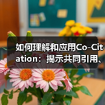 如何理解和应用Co-Citation：揭示共同引用、同时提及的深层关系（图4）