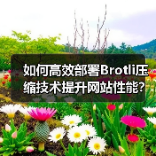 如何高效部署Brotli压缩技术提升网站性能?(图1) 如何高效部署Brotli压缩技术提升网站性能?(图1)