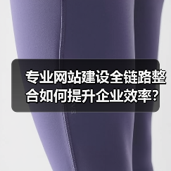 专业网站建设全链路整合如何提升企业效率?(图2) 专业网站建设全链路整合如何提升企业效率?(图2)