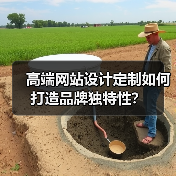 高端网站设计定制如何打造品牌独特性？（图4）