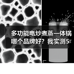 多功能电炒煮蒸一体锅哪个品牌好?我实测5款后告诉你真相(图2) 多功能电炒煮蒸一体锅哪个品牌好?我实测5款后告诉你真相(图2)