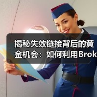 揭秘失效链接背后的黄金机会:如何利用Broken Link Building实现突破(图4) 揭秘失效链接背后的黄金机会:如何利用Broken Link Building实现突破(图4)