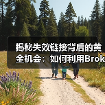揭秘失效链接背后的黄金机会:如何利用Broken Link Building实现突破(图3) 揭秘失效链接背后的黄金机会:如何利用Broken Link Building实现突破(图3)